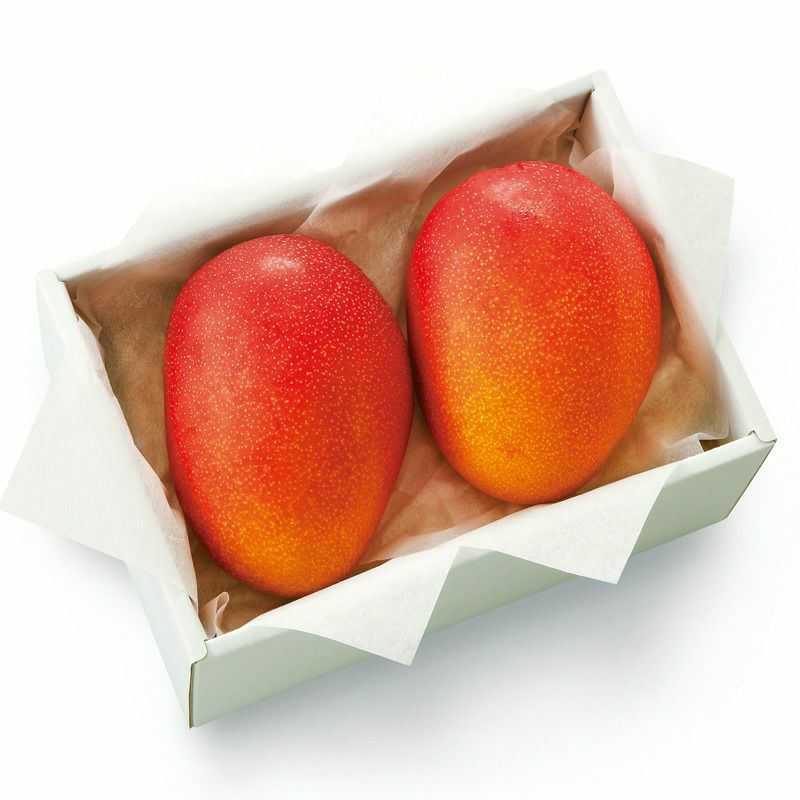 画像出所：すべて「紀ノ国屋公式」