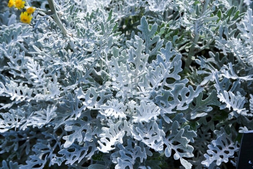 Kamila Kozioł/istockphoto.com