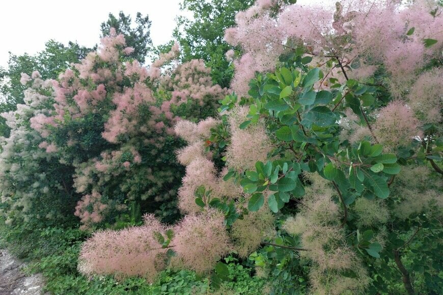 Ababsolutum/istockphoto.com