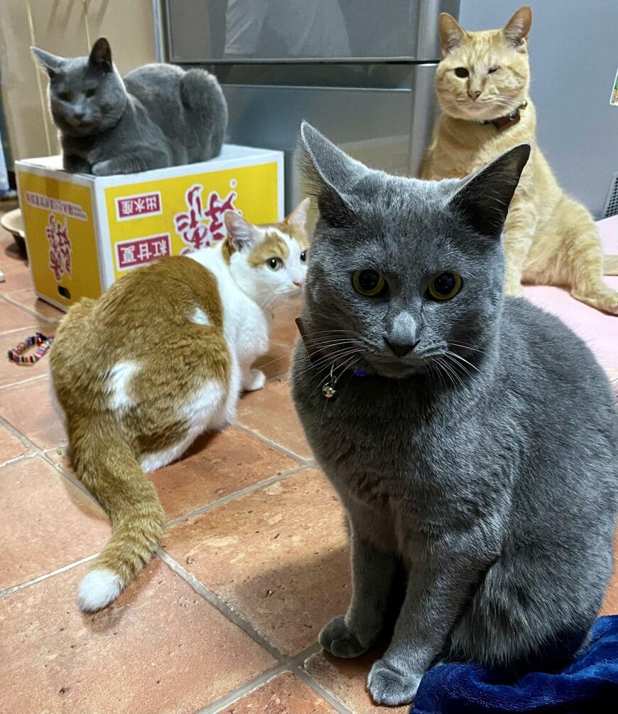 出所：@luna7taka9