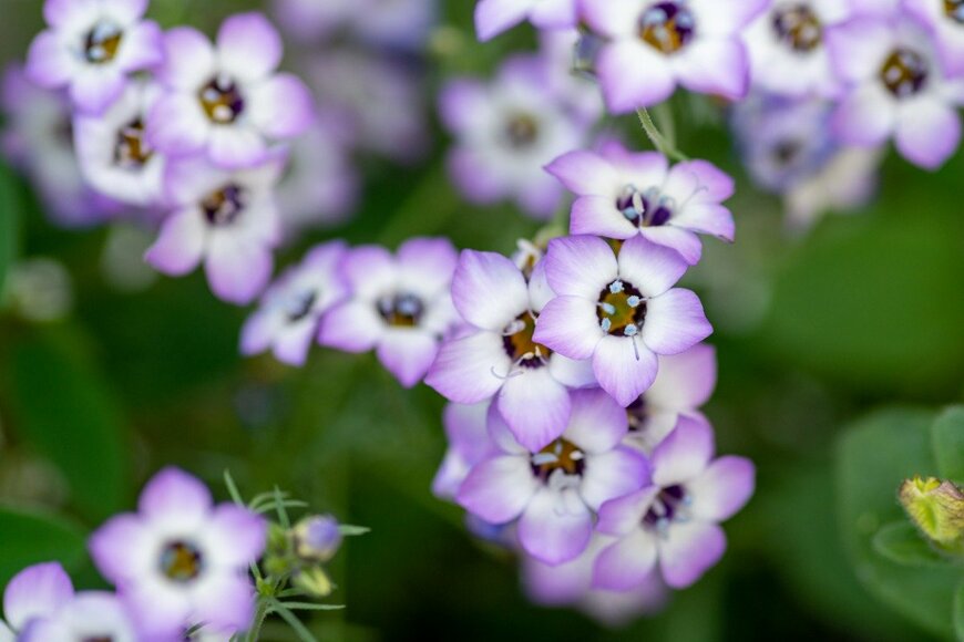 kinpouge05/istockphoto.com