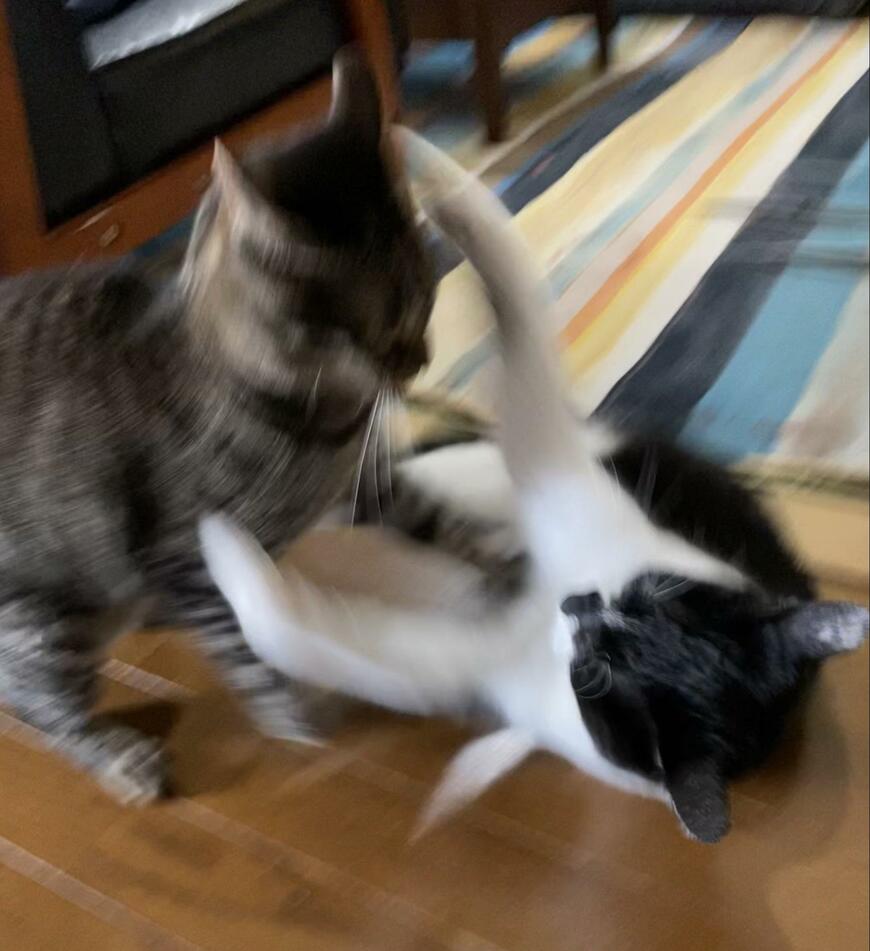 出所：@00shitemita