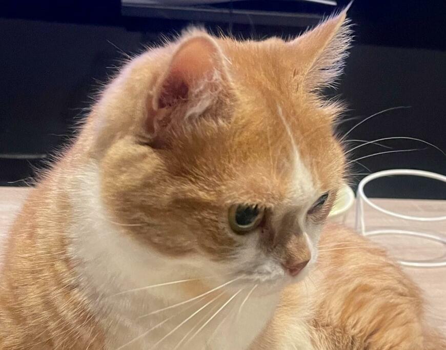 出所：@kotaro_0315