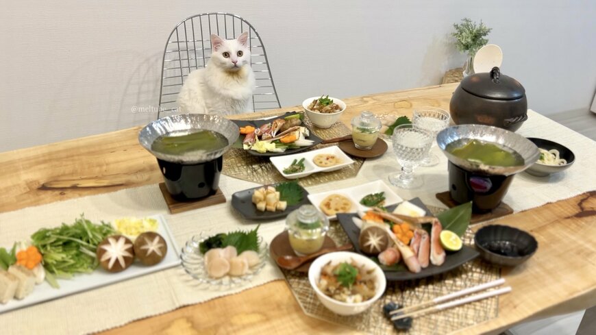 出所：@meltube_cat