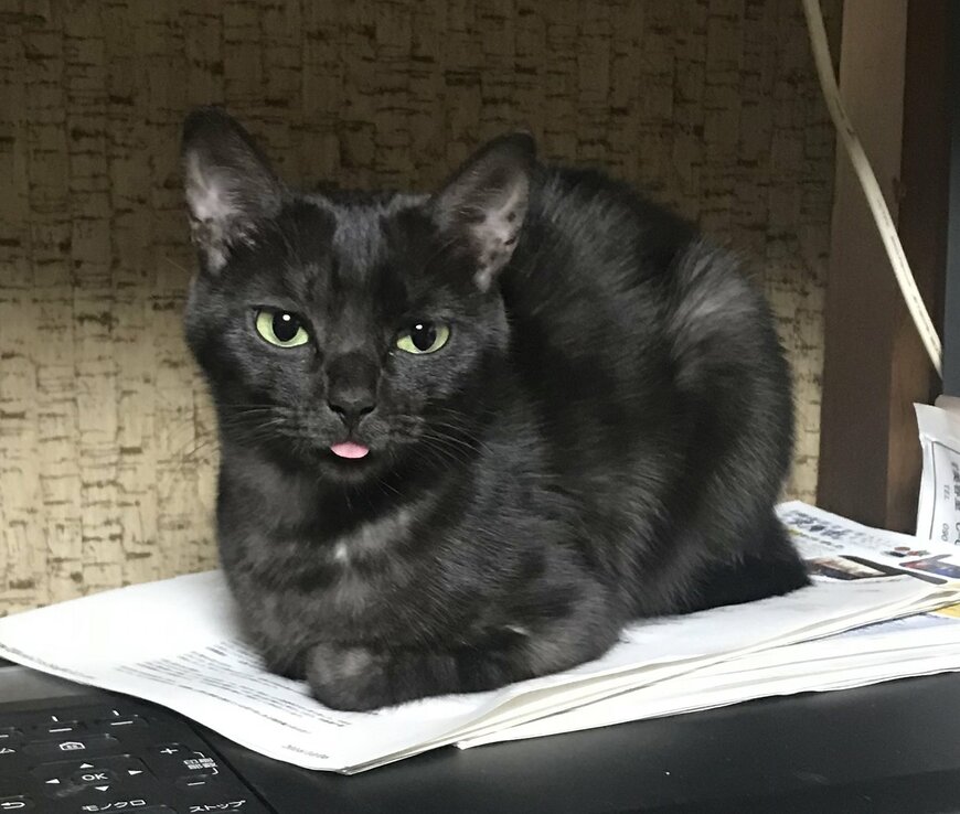 出所：@8rjXhLaRHFwK9l2