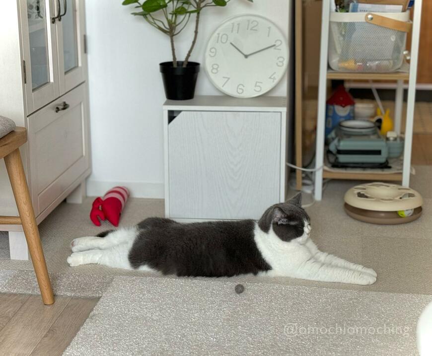 出所：@omochiomoching