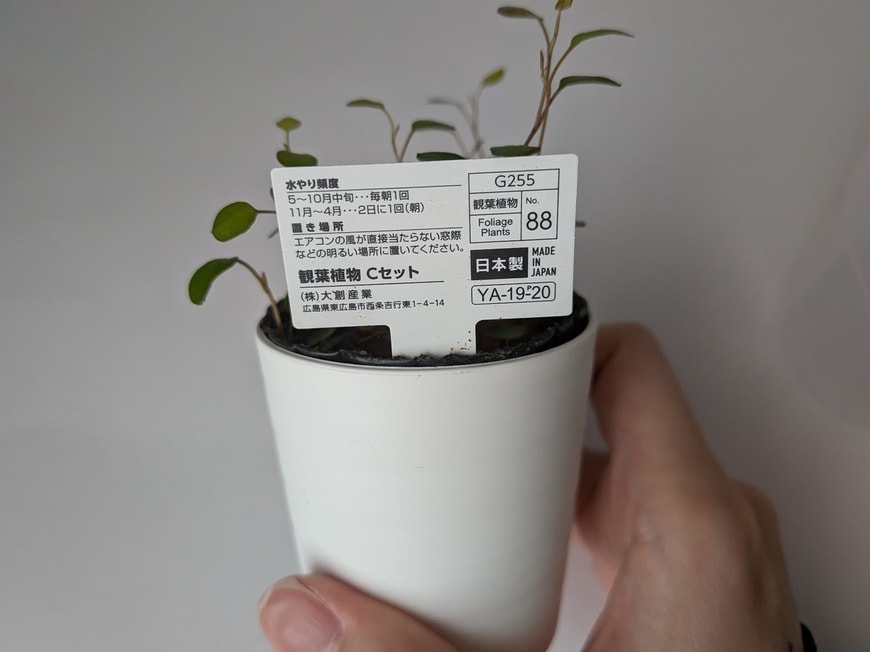 タグには栽培のコツも記載されています