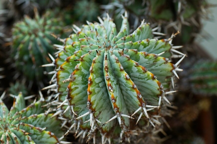 shihina/istockphoto.com