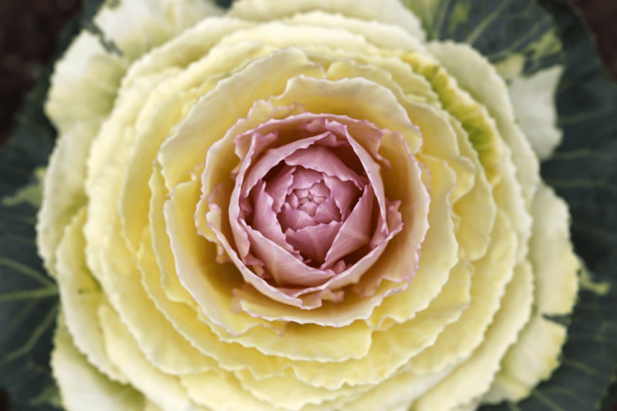 yu_photo/shutterstock.com