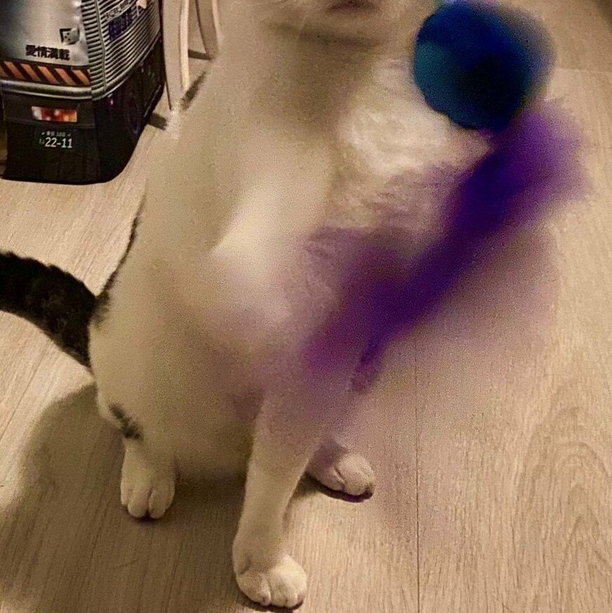 出所：@Saeroyi_cat