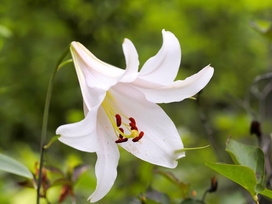 bluebullet/shutterstockphoto.com