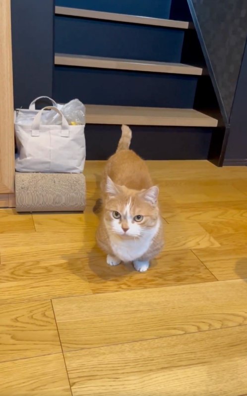 出所：@kotaro_0315