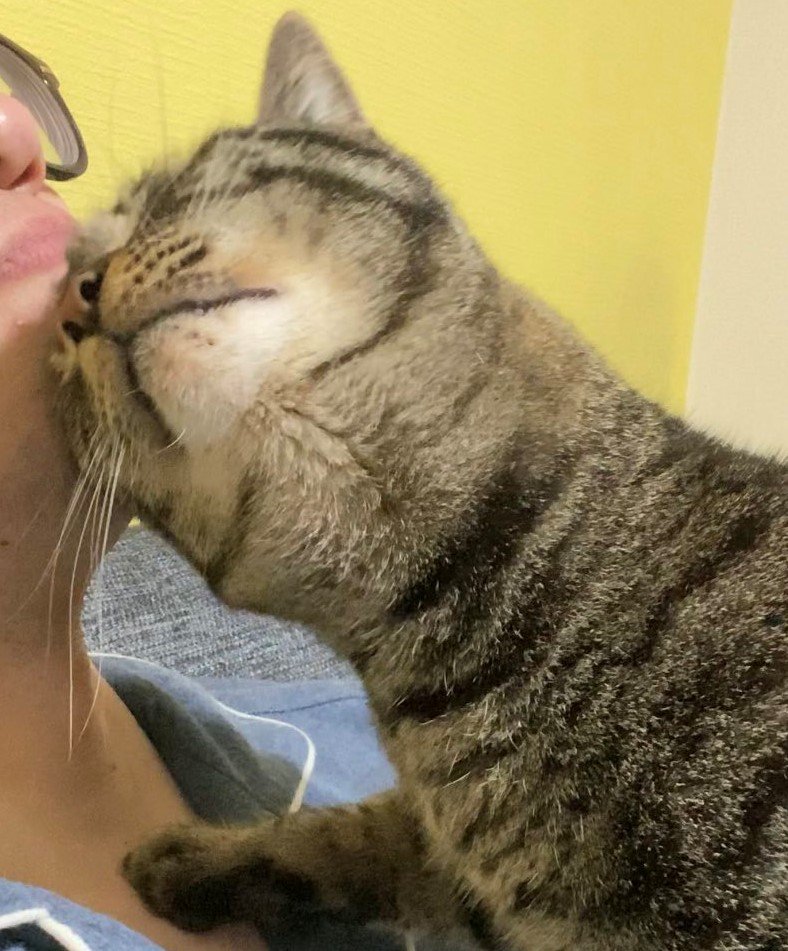 出所：@00shitemita