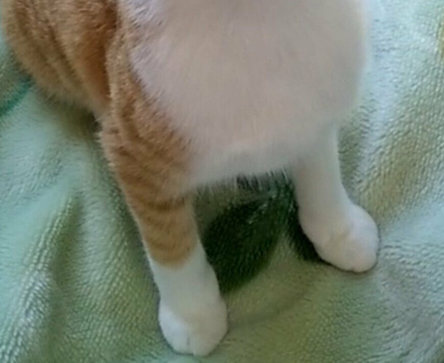 出所：@mero627puri914