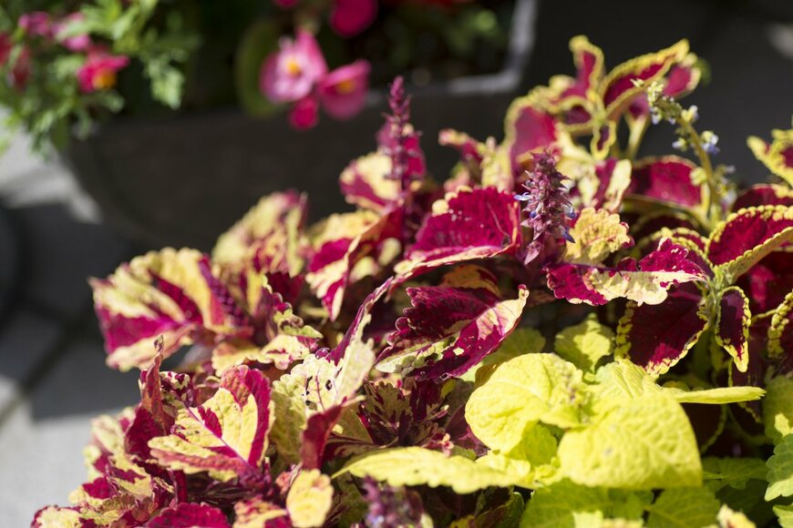 itasun/istockphoto.com