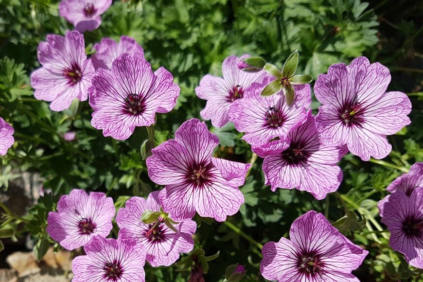 emer1940/istockphoto.com