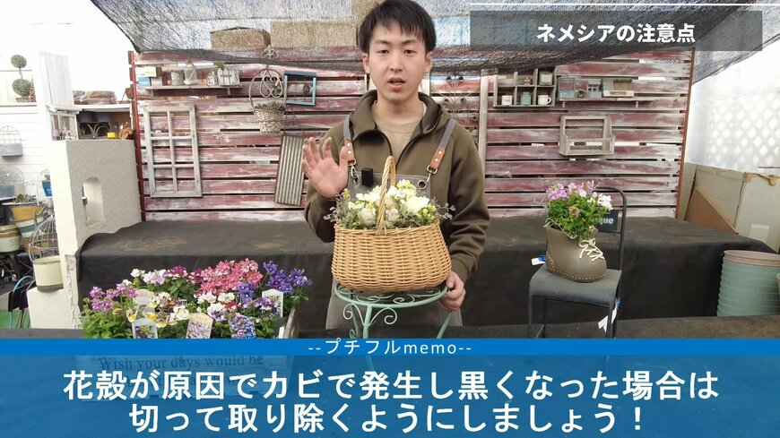 出所：@petit_fleur