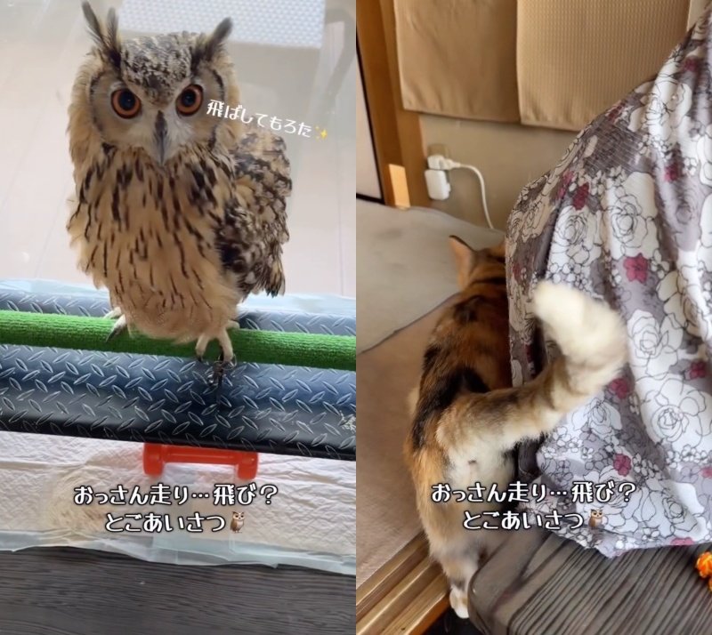 出所：@ba_chantolatte