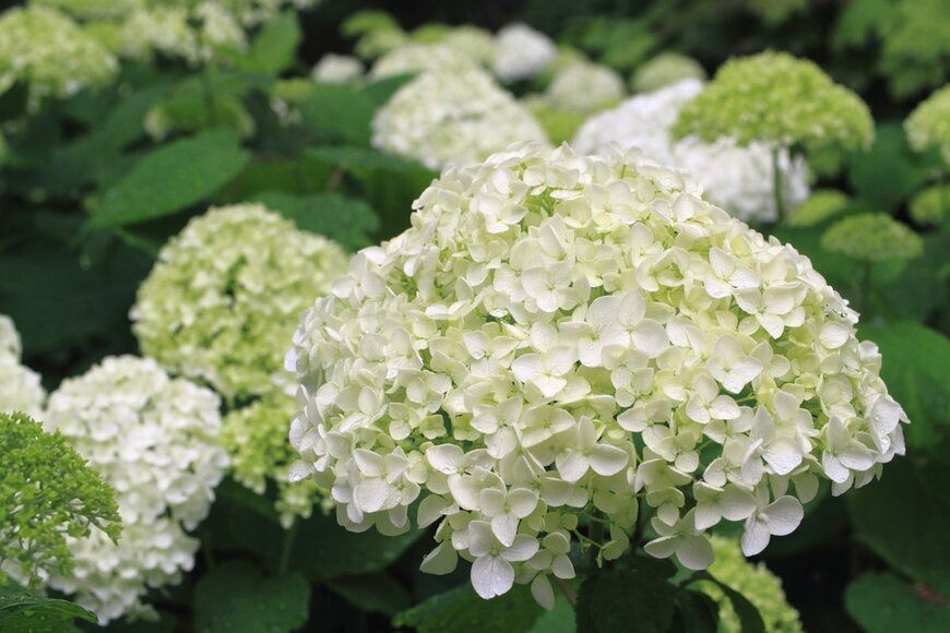 YUMIK/Shutterstock.com