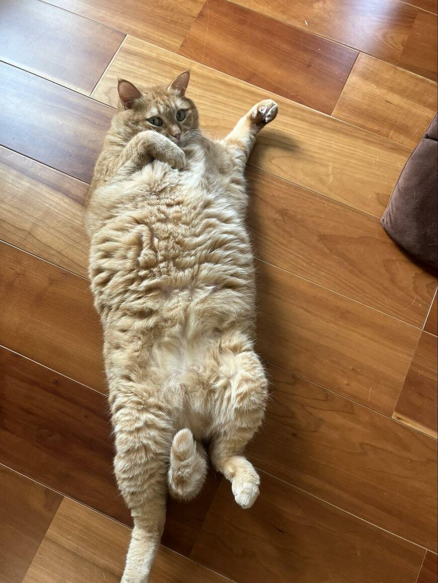 出所：@kagisuzu0531