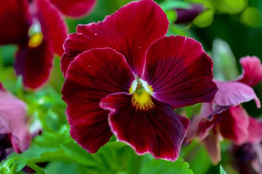                                                                    Elena/istockphoto.com