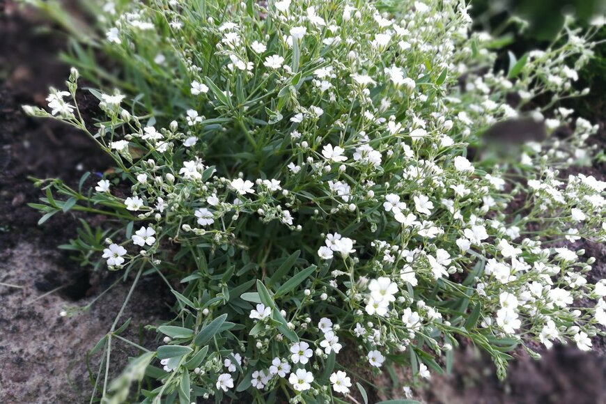 Helen Pitt/Shutterstock.com