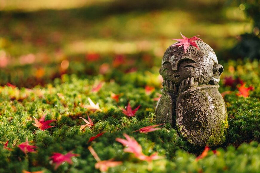 【麻羽たんぽぽの10月12星座占い】金運よくするために今「やること」「やめること」