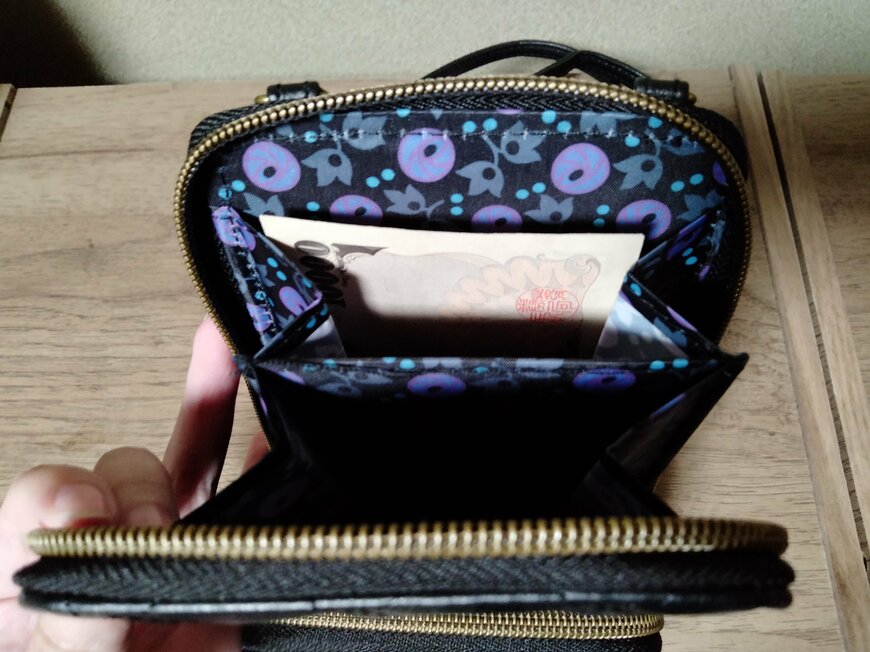 筆者撮影（宝島社、ANNA SUI じゃばら式スマホポーチ）