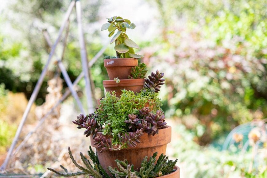 多年草を中心とした寄せ植え。鉢を重ねてウェディングケーキのような見た目で仕上げる。より立体的で3D感を楽しめる。
