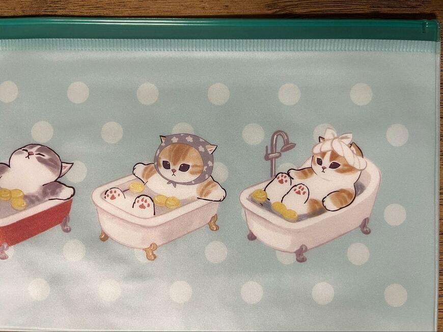 セリア、mofusand スライドマルチケース