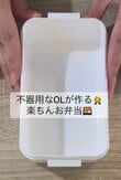 不器用な女性会社員が作る「頑張りすぎない鯖弁当」が話題　おかずがもりもりおいしそう！　