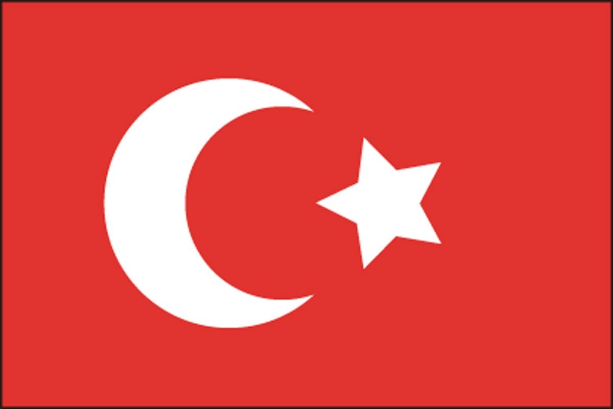 買いオンライン 【納期目安：１週間】CMLF-1529431 世界の国旗 万国旗 トルコ 140×210cm (CMLF1529431)  その他おもちゃ FONDOBLAKA