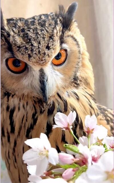 投稿動画のワンシーン