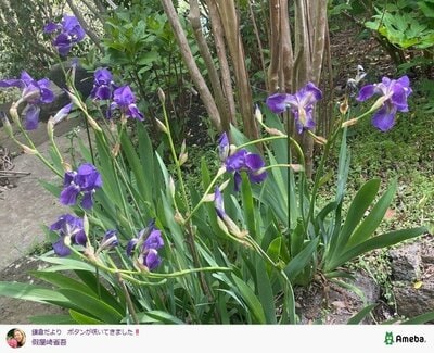 假屋崎省吾の公式ブログ投