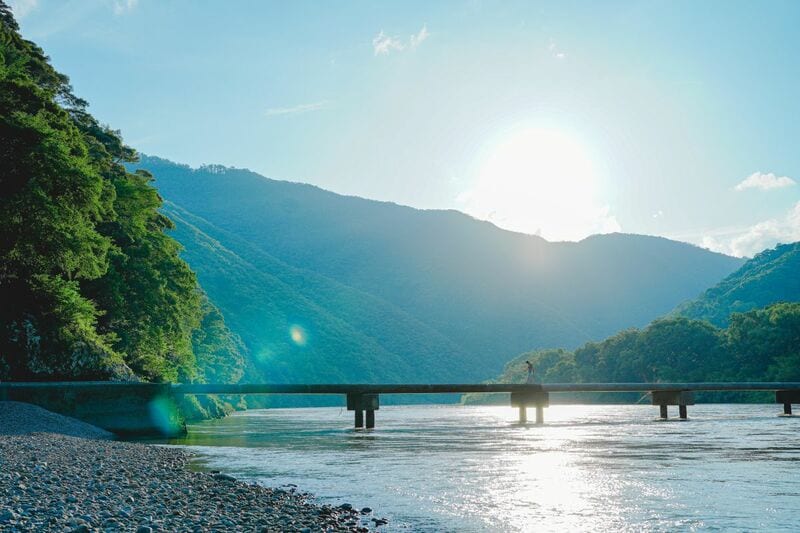 高知県で遭遇した「魔物のような警戒標識」にドキッ… 恐怖を誘うシルエットの正体に注目集まる
