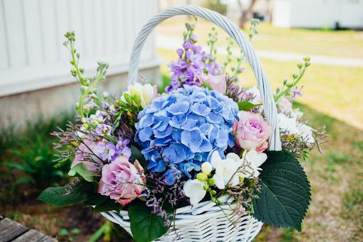 Deep_Mind/shutterstock.com