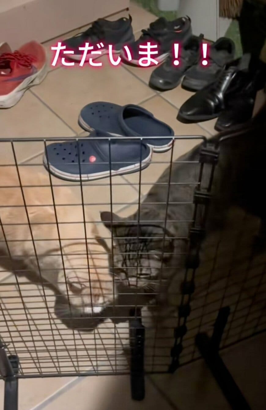 出所：@sorakai0905