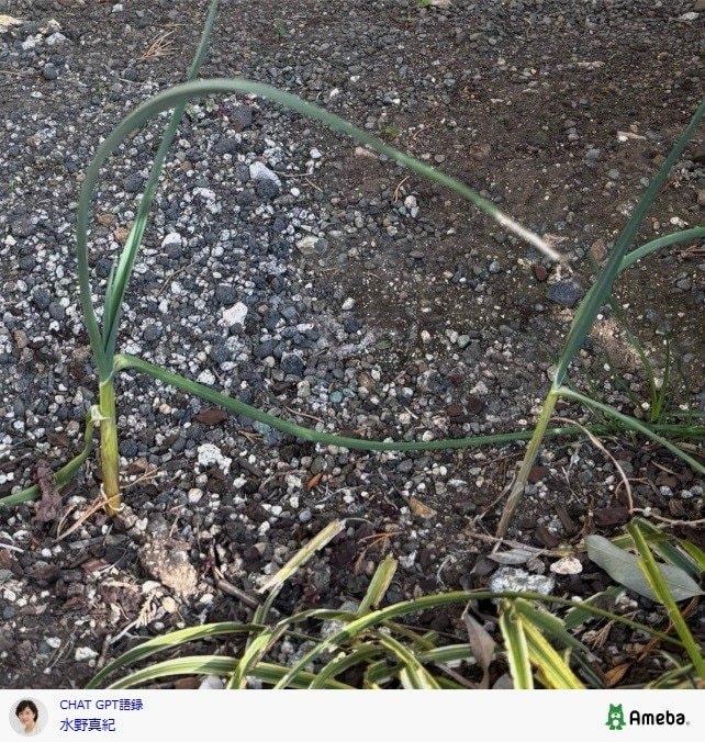 出所：水野真紀の公式ブログ 参照日：2026年2月2日