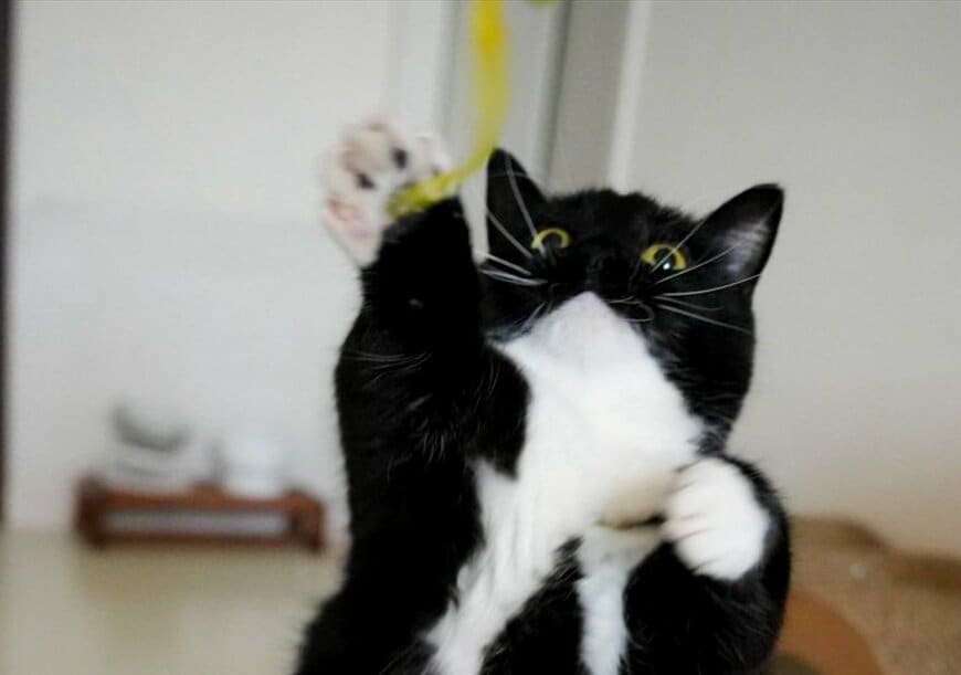 出所：@unicouniuni3