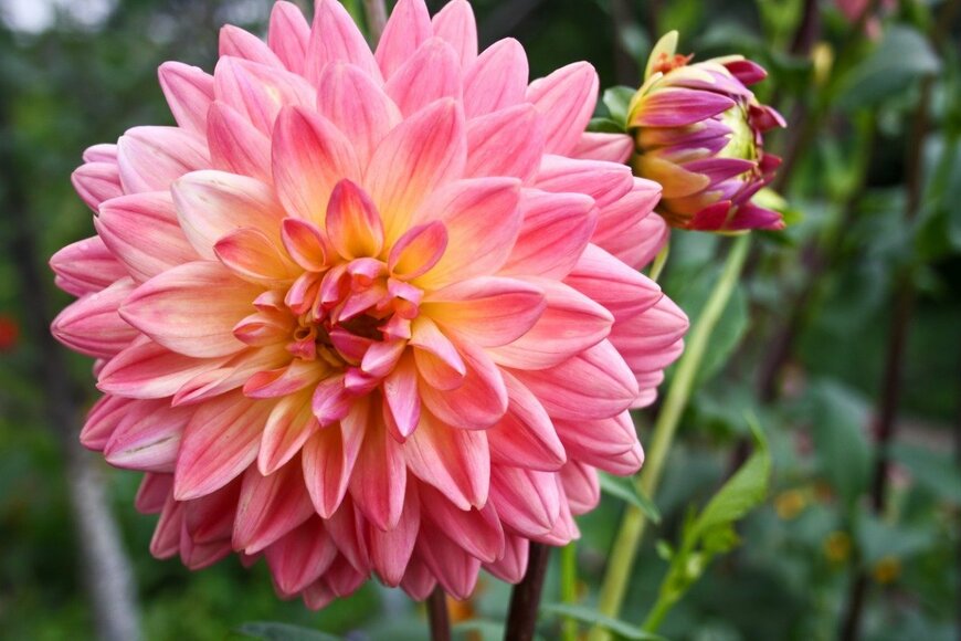 vig64/istockphoto.com