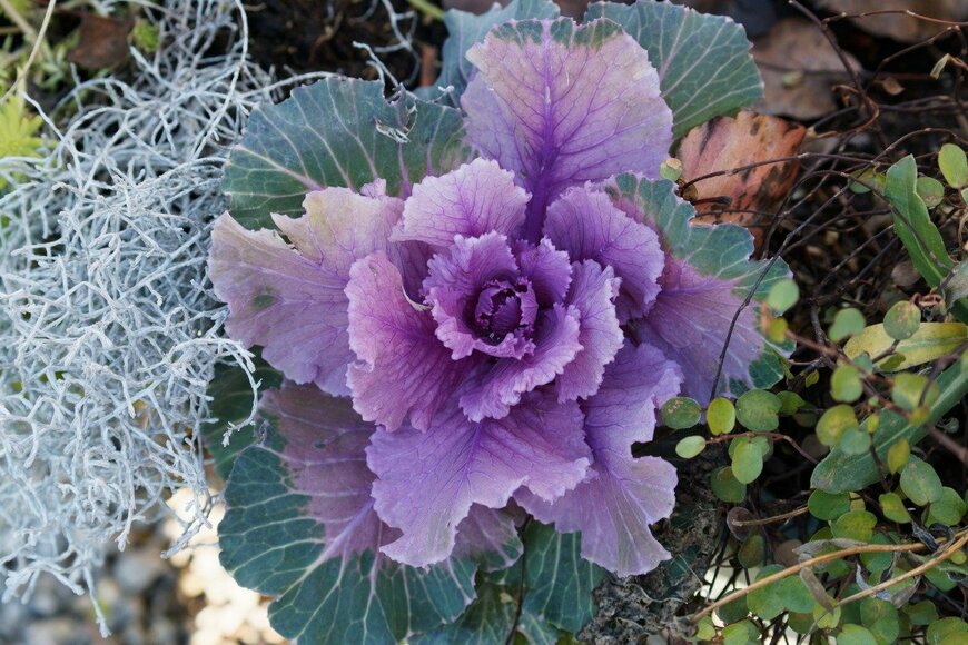 djenev/istockphoto.com