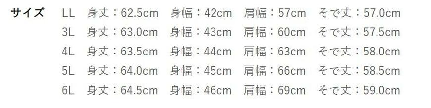 出所：しまむら公式オンラインストア レディース　ブラウス（Hina）