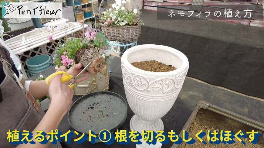 出所：@petit_fleur