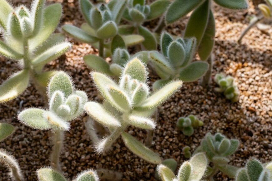 two K/shutterstock.com