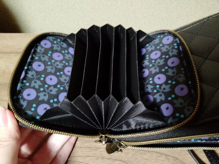 筆者撮影（宝島社、ANNA SUI じゃばら式スマホポーチ）