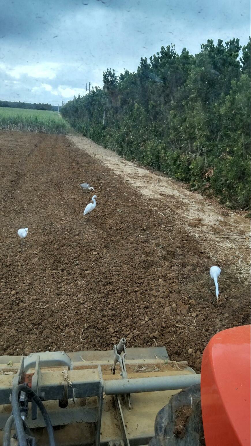 出所：@iHck1yZNj63Yqkh