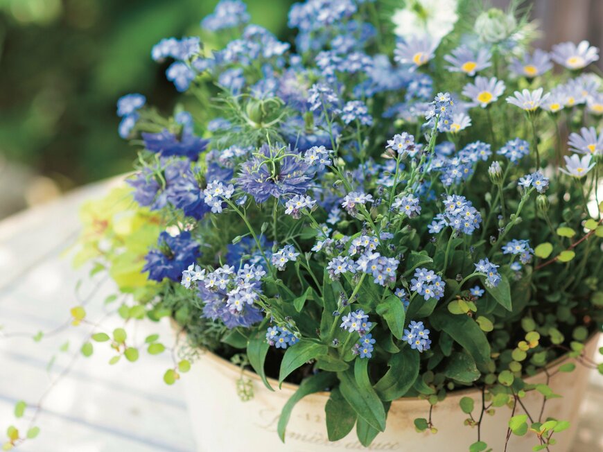 出所：主婦の友社