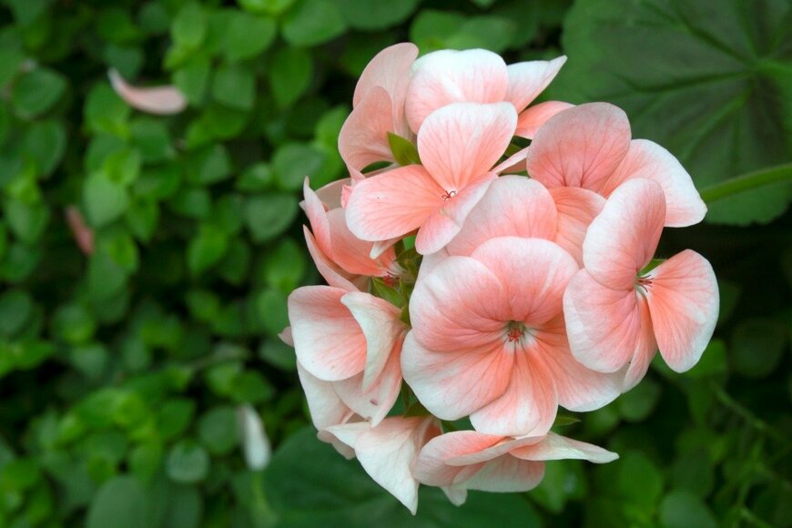 jamroen/istockphoto.com