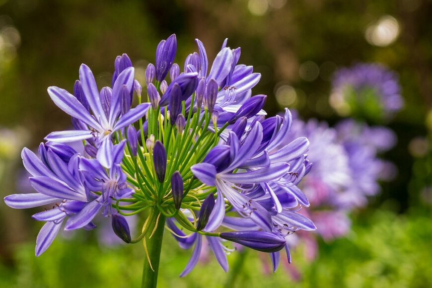 KreuzAs/shutterstock.com