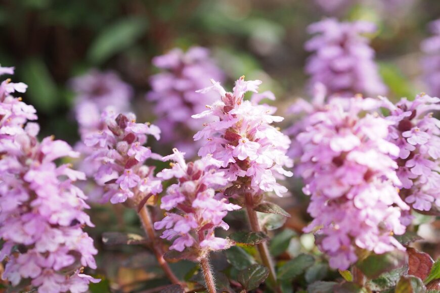 karinrin/shutterstock.com